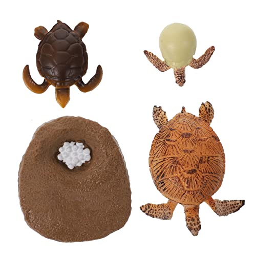Yardwe 1Satz Wachstumszyklus Schildkröte Modellspielzeug Pädagogisches Lernspielzeug zur Tier Evolution Realistische Figur für Kreatives und Lernen für Jahren Yardwe 1Satz Wachstumszyklus Schildkröte Modellspielzeug Pädagogisches Lernspielzeug zur Tier Evolution Realistische Figur für Kreatives und Lernen für Jahren von Yardwe