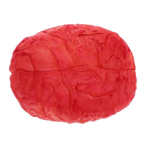 Yardwe 1Stück Bloody Fake Human Brain Für Halloween Deko Gruselige Party Requisiten Realistische Körperteile Für Horror Spukhaus Und Cosplay Für Halloween Feierlichkeiten von Yardwe