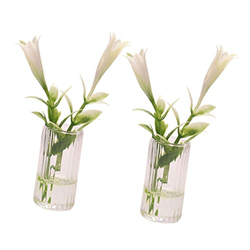 Yardwe 2stücke Miniaturvasen Für Décor Verschleißfeste Blumenvasen Dekorative Puppenvasen Klein Und Yardwe 2stücke Miniaturvasen Für Décor Verschleißfeste Blumenvasen Dekorative Puppenvasen Klein Und von Yardwe