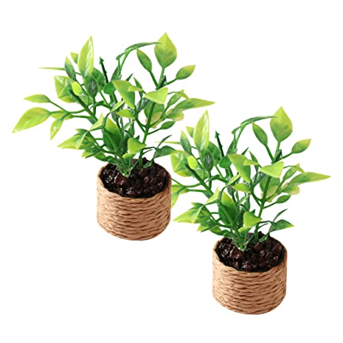 Yardwe 2 Stück Mini-orangenbaum Miniaturspielzeug Partyartikel Für Miniatur-Dekorationen Mittelstücke Für Tische Mini-topfpflanzen Miniatur-Miniatur-topfblume Winzige Dinge Plastik Yardwe 2 Stück Mini-orangenbaum Miniaturspielzeug Partyartikel Für Miniatur-Dekorationen Mittelstücke Für Tische Mini-topfpflanzen Miniatur-Miniatur-topfblume Winzige Dinge Plastik von Yardwe