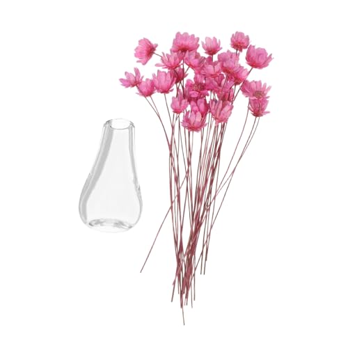 Yardwe 2 Stück Miniatur -Vase -Ornamente Dollhouse getrocknetes Arrangement kleine künstlich getrocknete Pflanzen Puppenhaus-Miniaturvase Puppenhaus Blumen Glas Rosa Yardwe 2 Stück Miniatur -Vase -Ornamente Dollhouse getrocknetes Arrangement kleine künstlich getrocknete Pflanzen Puppenhaus-Miniaturvase Puppenhaus Blumen Glas Rosa von Yardwe