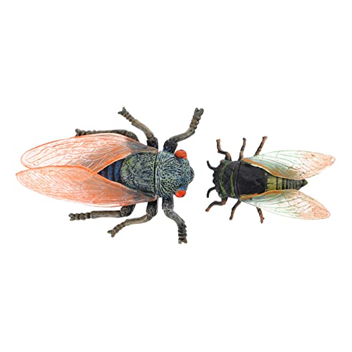Yardwe 2 Stück Tiermodell Simulation Zikade Lernen Lernspielzeug Nachahmung Zikade Kinderspielzeug Kinderspielzeug Insektenfiguren Lebensecht Realistisch Zikade von Yardwe