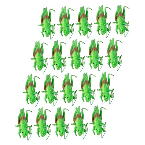 Yardwe 20 Stück Lernspielzeug Modelle aus Weichem Kognitive Modelle für Biologischen Kenntnissen und Kreativer von Yardwe