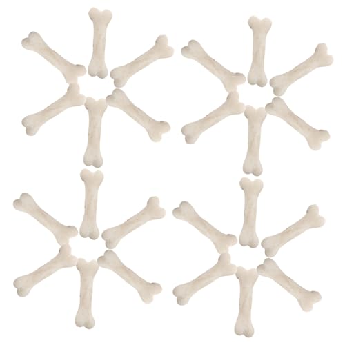 Yardwe 20 Stück Mini Knochenmodelle Knochen Cosplay Dekorationen Hundeknochenspielzeug Miniatur Skelett Knochendekor Skelettspielzeug Mini Skelette Knochenfüller Winzige Yardwe 20 Stück Mini Knochenmodelle Knochen Cosplay Dekorationen Hundeknochenspielzeug Miniatur Skelett Knochendekor Skelettspielzeug Mini Skelette Knochenfüller Winzige von Yardwe