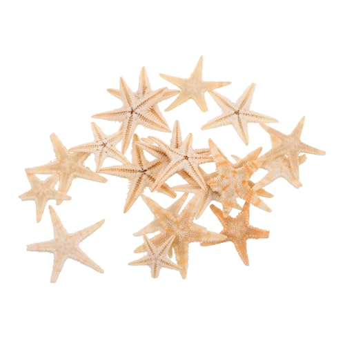 Yardwe 20 Stück Mini Seestern Ornamente für DIY Kerzen Dekoration Natürliche Seestern Figuren für Strand Themen Aromatherapie und Bastelprojekte Yardwe 20 Stück Mini Seestern Ornamente für DIY Kerzen Dekoration Natürliche Seestern Figuren für Strand Themen Aromatherapie und Bastelprojekte von Yardwe