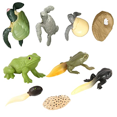 Yardwe 2sätze Simulationsmodellen Schildkröten Und Frösche Zur Evolution Und Dekoration Lehrspielzeug Für Junge Mädchen Für Schulprojekte von Yardwe