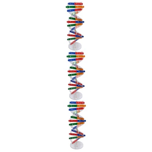 Yardwe 3 Sätze DNA Modellbausatz für Doppelhelix Modell Selbst Zusammenbaubar Lehrmittel für Biologieunterricht und Experimente Schule und Freizeit Zufällige Farbe von Yardwe