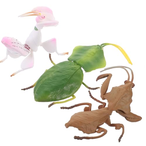 Yardwe 3Stücke Realistische Simulationsinsekten Künstliche für Pädagogisches und Garten Dekoration Lebendige Figuren für Kinderzimmer und Insektenliebhaber Yardwe 3Stücke Realistische Simulationsinsekten Künstliche für Pädagogisches und Garten Dekoration Lebendige Figuren für Kinderzimmer und Insektenliebhaber von Yardwe