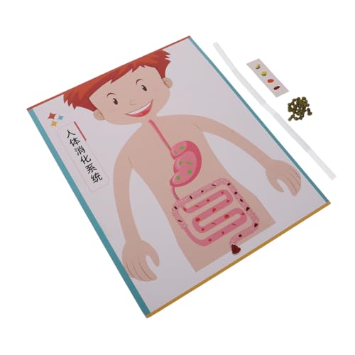 Yardwe 4 Sätze DIY Modell für Interaktives Lernspielzeug Handgefertigtes Wissenschaftsset zur Schulbildung Kreatives Bastelset für Vorschulkinder und Familienspaß Yardwe 4 Sätze DIY Modell für Interaktives Lernspielzeug Handgefertigtes Wissenschaftsset zur Schulbildung Kreatives Bastelset für Vorschulkinder und Familienspaß von Yardwe