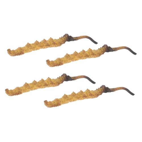Yardwe 4 Stück Cordyceps -Modell Arztkoffer Arzt Rollenspiel Requisiten Medizinische Spielzeugartikel Modell Der Chinesischen Medizin Arztzubehör Plastik von Yardwe