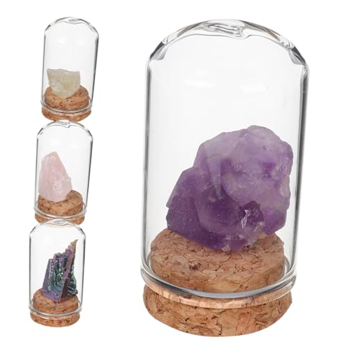 Yardwe 4 Stück Kristallmineralproben Glasglocke kleine Glocke Halloween-Glaskuppel kleine Glaskuppel Mini-Cloche Terrarium mit Glaskuppel Glashaube Glocke Glaskuppel Yardwe 4 Stück Kristallmineralproben Glasglocke kleine Glocke Halloween-Glaskuppel kleine Glaskuppel Mini-Cloche Terrarium mit Glaskuppel Glashaube Glocke Glaskuppel von Yardwe
