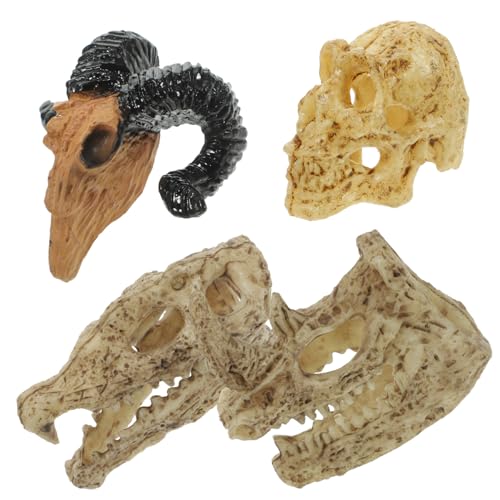 Yardwe 4 Stück Puppenhaus Tierschädel Wanddekoration Gefälschte Mini Knochen Ornament Skelett Dekoration Figuren Form Mikro Landschaft Yardwe 4 Stück Puppenhaus Tierschädel Wanddekoration Gefälschte Mini Knochen Ornament Skelett Dekoration Figuren Form Mikro Landschaft von Yardwe