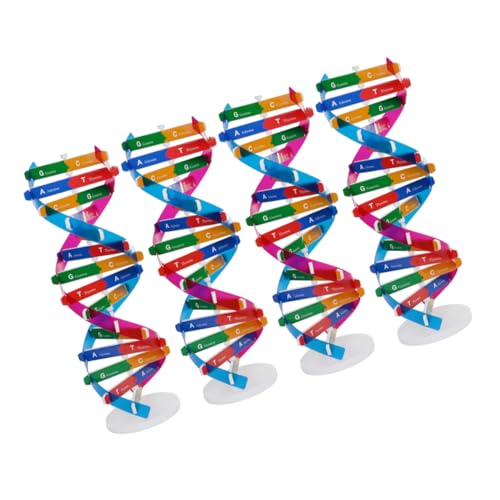 Yardwe 4 Stück Teiliges DNA Modell Doppelhelix Struktur Präzises Biologisches Lernspielzeug DIY Montage Bildungswerkzeug für Schule und Familie von Yardwe