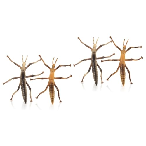 Yardwe 4 Stück Teiliges Realistisches Stab Modellspielzeug für Lernspielzeug für Insektenliebhaber für Bildung und Entdeckung von Naturwissenschaften von Yardwe