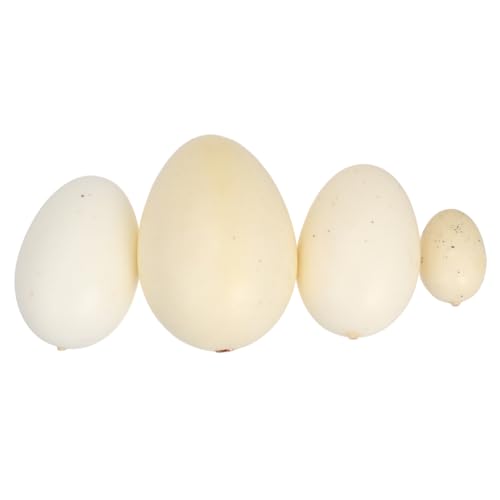 Yardwe 4 Stück Teiliges Vogel Ei Modell mit Gesprenkelten Eiern für Simulationseier Kreative Aktivitäten Yardwe 4 Stück Teiliges Vogel Ei Modell mit Gesprenkelten Eiern für Simulationseier Kreative Aktivitäten von Yardwe