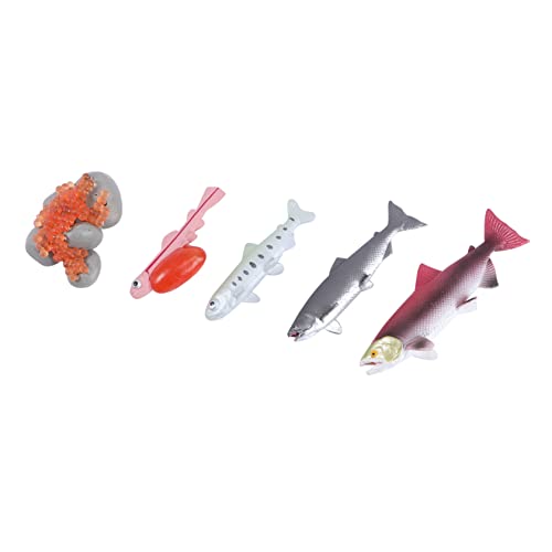 Yardwe 4Stücke Lachsfiguren Teiliges Set Für Kognitives Zur des Fischwachstumsprozesses Unterrichtshilfe Für Kreative Lernspiele Für Geburtstagsgeschenke von Yardwe