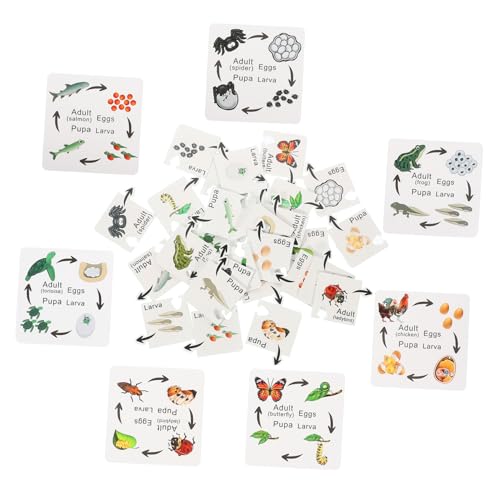 Yardwe 7 Sätze Kognitive Insektenspielzeuge Lernrätsel im Vorschulalter Puzzle- Bildungsspielzeug puzzlekleber Puzzlematte Kinderspielzeug Kindererziehung hölzern Yardwe 7 Sätze Kognitive Insektenspielzeuge Lernrätsel im Vorschulalter Puzzle- Bildungsspielzeug puzzlekleber Puzzlematte Kinderspielzeug Kindererziehung hölzern von Yardwe