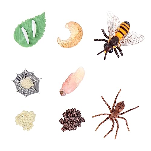 Yardwe 8 Stück Teiliges Wachstumsmodell Simulation von Bienen und Spinnenzyklen Lernspielzeug für Realistische Modelle Kreativität und Vorstellungskraft für Dekoration und Bildung von Yardwe