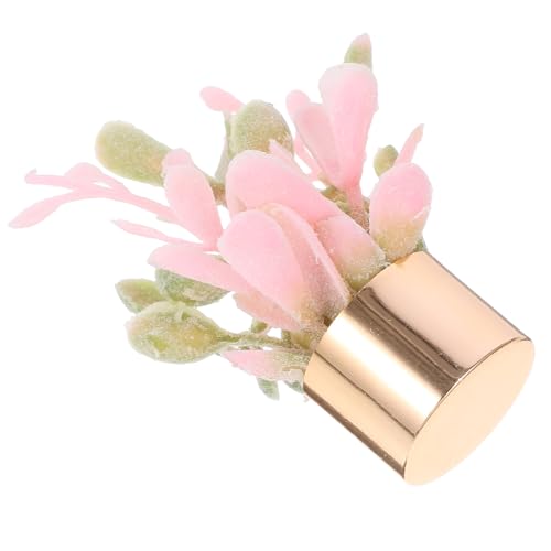 Yardwe Blumentopf Dekorationen Für Puppenhäuser Sukkulenten Pflanzgefäße Kleine Kunstpflanzen Ornamente Für Kleine Künstliche Sukkulenten Mini Hausdekor Rosa Kunststoff Yardwe Blumentopf Dekorationen Für Puppenhäuser Sukkulenten Pflanzgefäße Kleine Kunstpflanzen Ornamente Für Kleine Künstliche Sukkulenten Mini Hausdekor Rosa Kunststoff von Yardwe