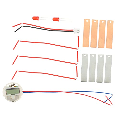 Yardwe DIY Fruchtbatterie Experimentierkit für Wissenschaftliches Lernspielzeug zur Stromerzeugung aus Obst Bildungsset für Schule und Zuhause Handlungsorientiertes Experimentierset von Yardwe