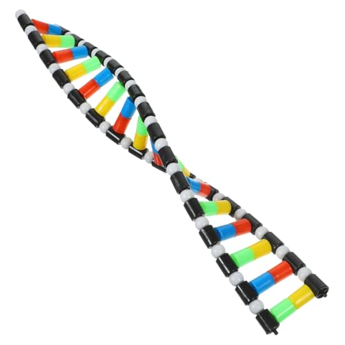 Yardwe DNA Modellkit für Doppelhelix Strukturmodell für Biologieunterricht für Experimente des Interesses an Wissenschaft von Yardwe