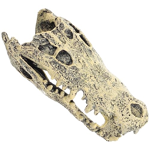 Yardwe Dinosaurier-Schädel-Ornament Hirsch Handpuppe Schlange Hängematte Plüsch Dino Schädel Dekoration Harz Dino Schädel kleine Dinosaurierschädelstatue Modelle von Dinosaurierschädeln Yardwe Dinosaurier-Schädel-Ornament Hirsch Handpuppe Schlange Hängematte Plüsch Dino Schädel Dekoration Harz Dino Schädel kleine Dinosaurierschädelstatue Modelle von Dinosaurierschädeln von Yardwe