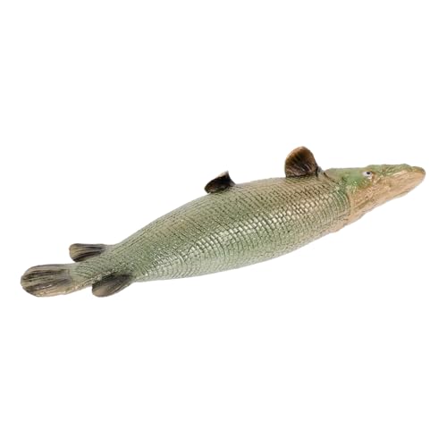 Yardwe Fake Fish Realistische Atractosteus Spatula Figur für Lernspielzeug zur Meeresbiologie Dekoration für Zuhause und Veranstaltungen Sicher und Langlebig von Yardwe