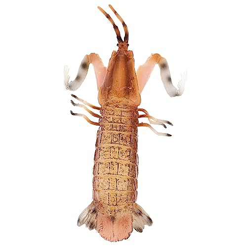 Yardwe Kleines Lernspielzeug Tiermodell Mantis Shrimp Widerstandsfähiges Kompaktes Sensorisches Dekoratives Sammelstück für Kinderzimmer und Lernumgebung von Yardwe