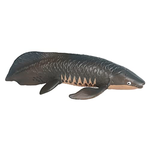 Yardwe Kunststoff Fisch Modell Pädagogisches Tiermodell für Lernspiele und Kreative Wasserspielzeug für Kinderzimmer und Aquarien Yardwe Kunststoff Fisch Modell Pädagogisches Tiermodell für Lernspiele und Kreative Wasserspielzeug für Kinderzimmer und Aquarien von Yardwe