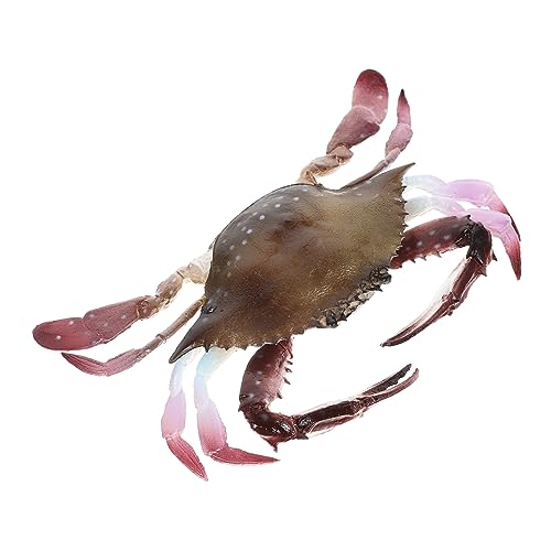 Yardwe Lebensechte Künstliche Krabbenfigur aus Realistisches Meeresbewohner Modell Dekoration für Aquarien für Kreative Lernspiele Langlebig und Detailgetreu Yardwe Lebensechte Künstliche Krabbenfigur aus Realistisches Meeresbewohner Modell Dekoration für Aquarien für Kreative Lernspiele Langlebig und Detailgetreu von Yardwe