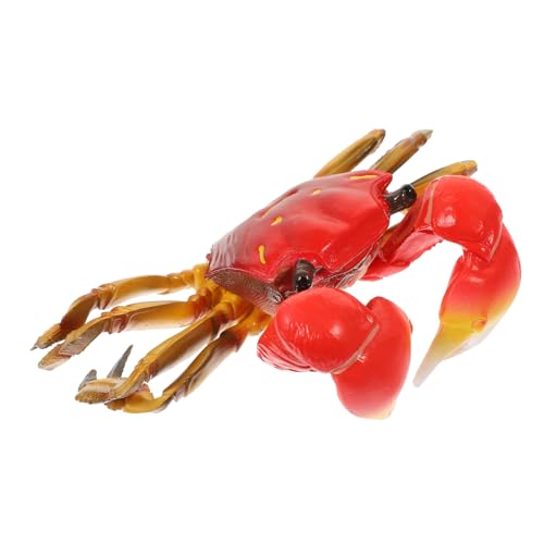 Yardwe Lernspielzeug Pädagogisches Simulationsspielset für Haarige aus Ungiftigem Material Fördert Kognitive und Motorische Fähigkeiten für Kleinkinder Yardwe Lernspielzeug Pädagogisches Simulationsspielset für Haarige aus Ungiftigem Material Fördert Kognitive und Motorische Fähigkeiten für Kleinkinder von Yardwe
