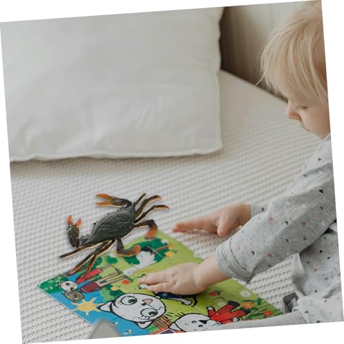 Yardwe Lernspielzeug Realistische Krabbenfigur aus Leichtem Pädagogisches Meeresbewohner Modell Sicher und Detailreich für Kognitive und Yardwe Lernspielzeug Realistische Krabbenfigur aus Leichtem Pädagogisches Meeresbewohner Modell Sicher und Detailreich für Kognitive und von Yardwe