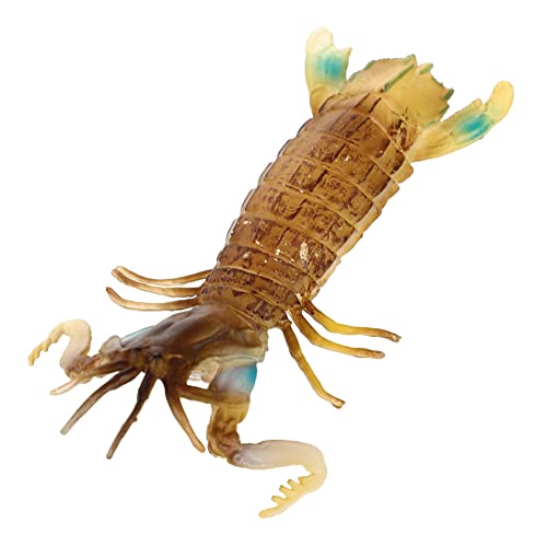 Yardwe Mantis Shrimp Modell Tragbares Interaktives Tiermodell Kleines Lernspielzeug für Attraktives für Mädchen und Jungen Dekoratives Kinderaccessoire von Yardwe
