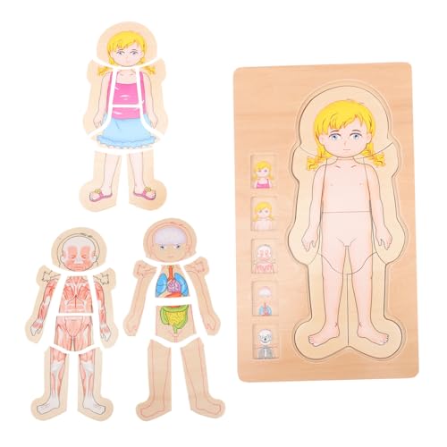 Yardwe Mehrschichtiges Holzpuzzle Körperstruktur für Pädagogisch Sicher und Langlebig für Jungen Mädchen Frühe Bildung und Eltern Junge Mädchen Interaktion Yardwe Mehrschichtiges Holzpuzzle Körperstruktur für Pädagogisch Sicher und Langlebig für Jungen Mädchen Frühe Bildung und Eltern Junge Mädchen Interaktion von Yardwe