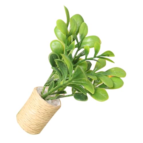 Yardwe Mini-Modellbaum Miniatur gefälscht Dekorationen eingetopft realistisch drinnen Kleiner Garten Kleiner Topf Pflanzen kunstpflanze Winziges Hausdekor Puppenhausdekor Plastik Green Yardwe Mini-Modellbaum Miniatur gefälscht Dekorationen eingetopft realistisch drinnen Kleiner Garten Kleiner Topf Pflanzen kunstpflanze Winziges Hausdekor Puppenhausdekor Plastik Green von Yardwe