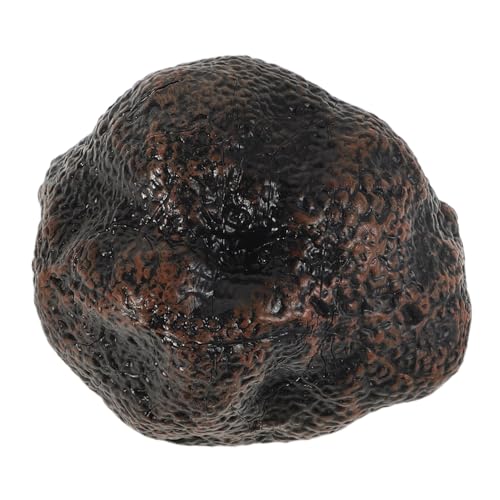 Yardwe Modell Mit Schwarzem Trüffel Simulationsspielzeug Sie Küchenspielzeug Simulationshausspielzeug Simulation Lebensmittelspielzeug Lebenszyklus -lernspielzeug Plastik Black Yardwe Modell Mit Schwarzem Trüffel Simulationsspielzeug Sie Küchenspielzeug Simulationshausspielzeug Simulation Lebensmittelspielzeug Lebenszyklus -lernspielzeug Plastik Black von Yardwe
