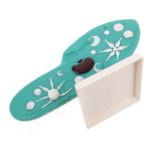 Yardwe Paramecium Modell mit Feinen Cilien Stabiler Stand Detaillierte Mikroskopische Struktur Biologisches Unterrichtsmodell für Schulwissenschaften Geeignet für Biologieunterricht und von Yardwe