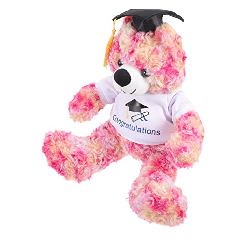 Yardwe Plüschtier tragen Puppe Studentenabschlussgeschenk entzückender Cartoon-Bär Bär Stofftier entzückende Bärenpuppe Bärenpuppen-Souvenir Kinderspielzeug PP Baumwolle von Yardwe