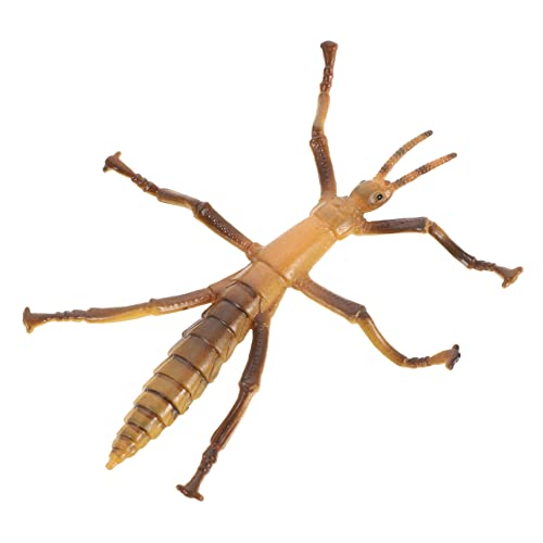 Yardwe Realistisches Insektenmodell aus Kunststoff Pädagogisches Kinderspielzeug für Kreativität und Lernen Sicher und Langlebig Lernspielzeug für Naturentdecker Yardwe Realistisches Insektenmodell aus Kunststoff Pädagogisches Kinderspielzeug für Kreativität und Lernen Sicher und Langlebig Lernspielzeug für Naturentdecker von Yardwe