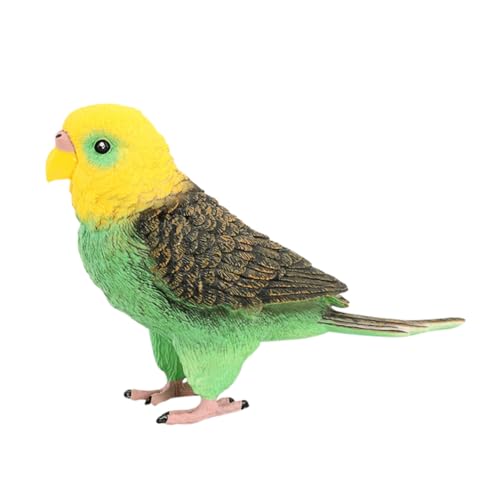 Yardwe Simulation Budgerigar Modell Realistisches Papageien Aus Hochwertigem Detailgenau Langlebig Dekoration Oder Lernspielzeug Yardwe Simulation Budgerigar Modell Realistisches Papageien Aus Hochwertigem Detailgenau Langlebig Dekoration Oder Lernspielzeug von Yardwe
