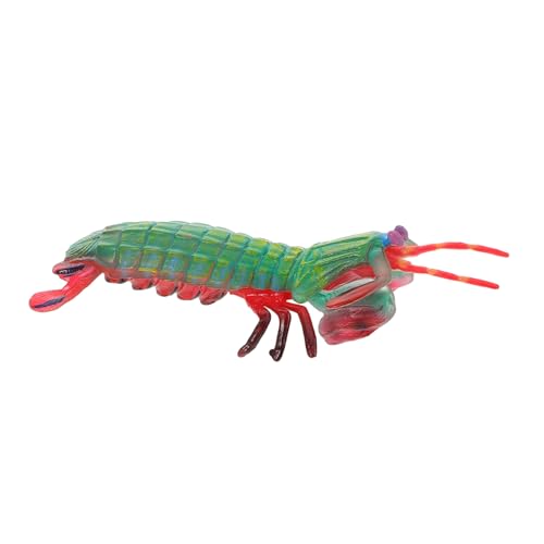 Yardwe Simulation Mantis Shrimp Model Kinder Realistische Meerestier -Figur Simulation Tiergarnelenfigur Realistische Garnelenmodell Bildung Kognitiver Garnelenspielzeug Yardwe Simulation Mantis Shrimp Model Kinder Realistische Meerestier -Figur Simulation Tiergarnelenfigur Realistische Garnelenmodell Bildung Kognitiver Garnelenspielzeug von Yardwe