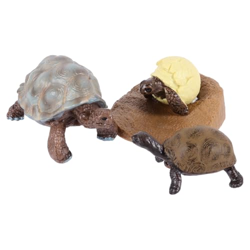 Yardwe Teiliges Lebenszyklus Modell Schildkröte Simulation Tierfiguren Lernspielzeug Pädagogisch für Biologisches Wachstumszyklus Verständnis Sicher Leicht und Praktisch Yardwe Teiliges Lebenszyklus Modell Schildkröte Simulation Tierfiguren Lernspielzeug Pädagogisch für Biologisches Wachstumszyklus Verständnis Sicher Leicht und Praktisch von Yardwe