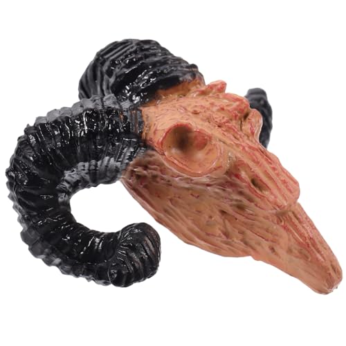 Yardwe Tierschädeldekoration winzig gruseliges Tuch Gruselige Puppe Halloween Dekoration Halloween-Dekoration Lustige Dekoration Miniaturen schmücken Miniaturschädeldekor Plastik Yardwe Tierschädeldekoration winzig gruseliges Tuch Gruselige Puppe Halloween Dekoration Halloween-Dekoration Lustige Dekoration Miniaturen schmücken Miniaturschädeldekor Plastik von Yardwe