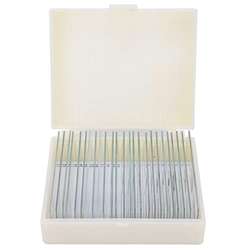 DW-25-Packung von 25 Tier-Scope-Folien mit Aufbewahrungsbox für Wissenschaftliche Ausbildung und Beobachtung DW-25-Packung von 25 Tier-Scope-Folien mit Aufbewahrungsbox für Wissenschaftliche Ausbildung und Beobachtung von Yctze