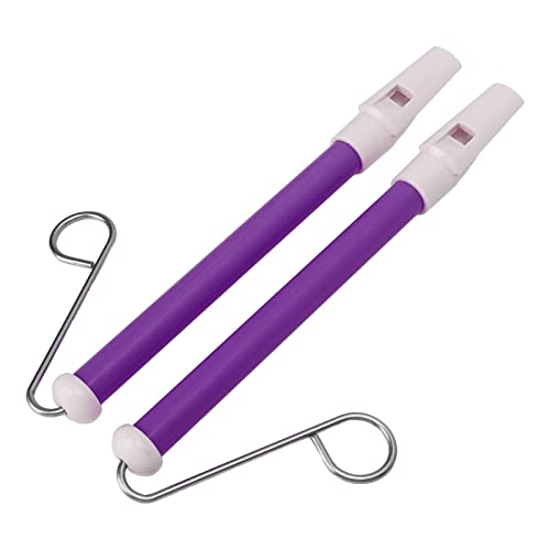 Yctze 2pcs S und Einfach zu Spielen, um das Musikinstrument für Kinder für Kinder mit Schönen Farben zu Spielen - Frühe Musikliebhaber (Purple) von Yctze