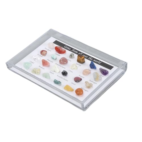 Yctze Mineral Rock Collection Kit mit Display -Fall - F Educational Science Aktivitäten Für, Geburtstag (B) von Yctze