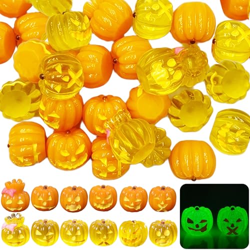 24 Stück Mini Harz Kürbis,Mini-Kürbisse,Miniaturen Halloween Leuchtende,Kleine Harz Winzige Miniaturen,Hausgartendekoration und Halloween Party Geschenk von YeahBoom