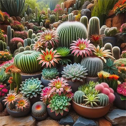 1000 Teile Puzzle für Erwachsene mit Kakteen Puzzles, EIN Herausforderndes Rätsel,Puzzles für Die Ganze Familie,1000 DIY Kunst Puzzle Home Dekoration Geschenke von Yeecer