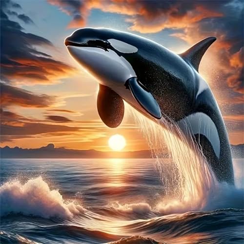 1000 Teile Puzzle für Erwachsene mit Sonnenuntergang Meer Wal Puzzles, EIN Herausforderndes Rätsel,Puzzles für Die Ganze Familie,1000 DIY Kunst Puzzle Home Dekoration Geschenke von Yeecer