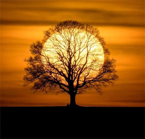 1000 Teile Puzzle für Erwachsene mit Sonnenuntergangsbaum Puzzles, EIN Herausforderndes Rätsel, 1000 Puzzles für Die Ganze Familie, DIY Kunst Puzzle Home Dekoration Geschenke 1000 Teile Puzzle für Erwachsene mit Sonnenuntergangsbaum Puzzles, EIN Herausforderndes Rätsel, 1000 Puzzles für Die Ganze Familie, DIY Kunst Puzzle Home Dekoration Geschenke von Yeecer